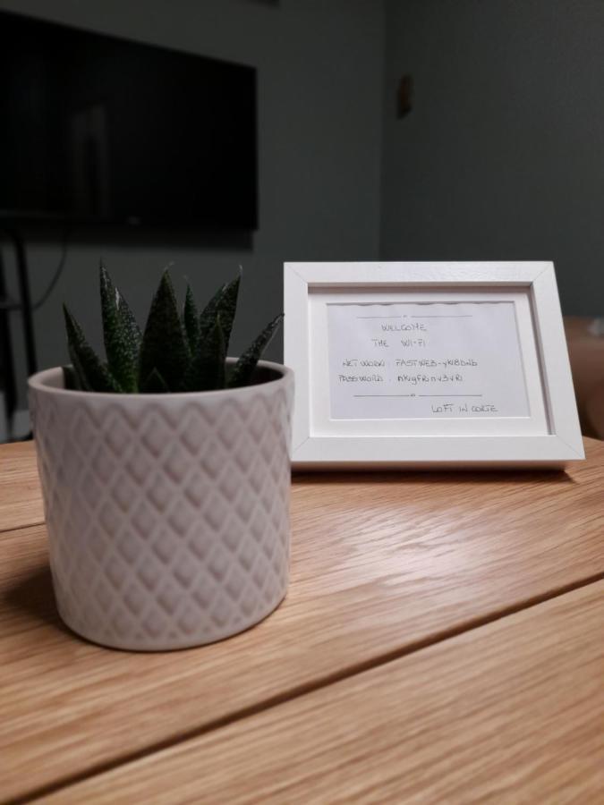 Loft In Corte ตูริน ภายนอก รูปภาพ